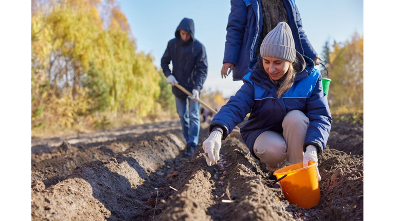 Под Брянском в питомнике посеяли желуди дуба в рамках акции «Сохраним лес»