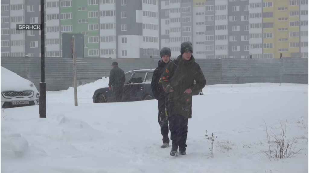 В Брянской области 26 декабря ожидается мокрый снег и до +1ºC