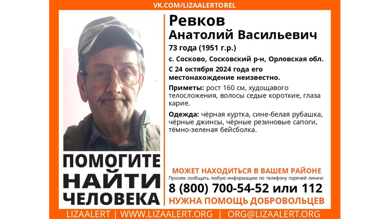 Брянцев просят помочь в поисках 73-летнего Анатолия Ревкова из Орловской области