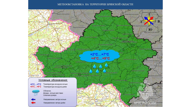В Брянской области 14 октября обещают дожди при 9 градусах тепла