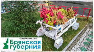 В Навле по нацпроекту приводят в порядок 4 двора