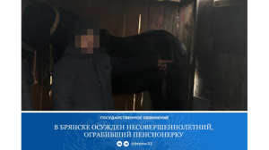 В Брянске 15-летний подросток отобрал у пенсионерки сумку с 1 млн 689 тысячами рублей