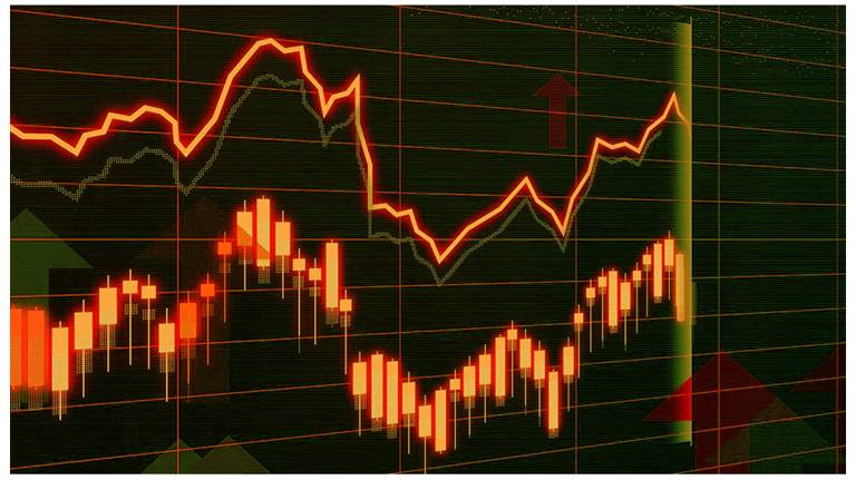 В Брянской области реализуется проект «Содействие занятости»