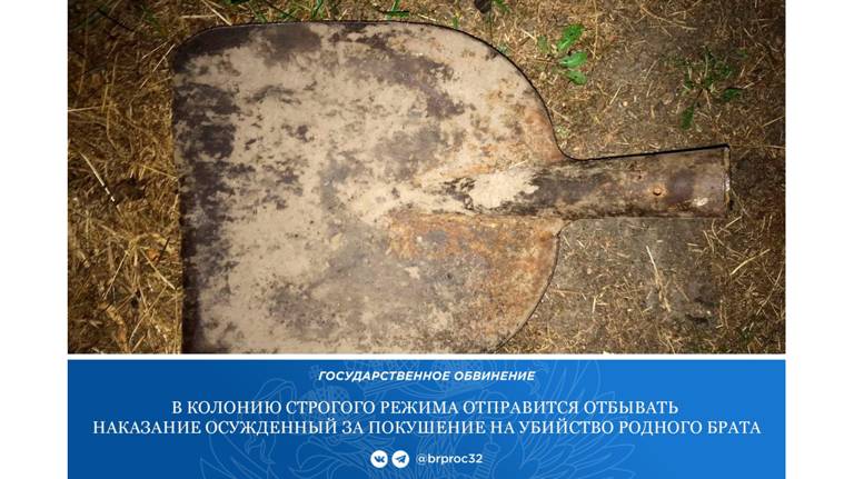 Брянец едва не убил брата совковой лопатой Брянец едва не убил брата совковой лопатой