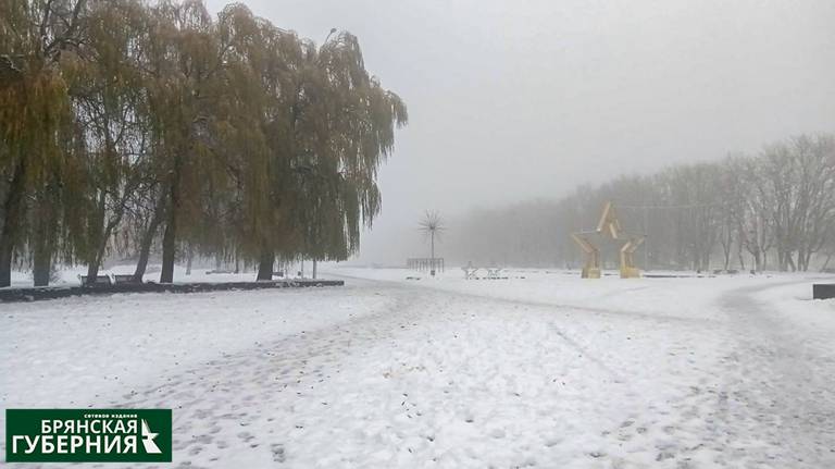 Дождь и до +6 градусов ожидается в Брянской области 12 февраля