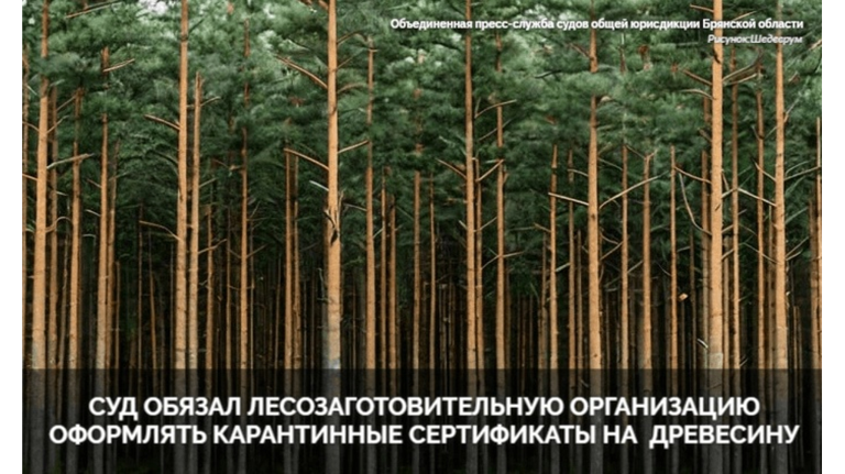 В Брянске суд обязал ООО «Кедр+» оформить карантинные сертификаты на вывозимую древесину