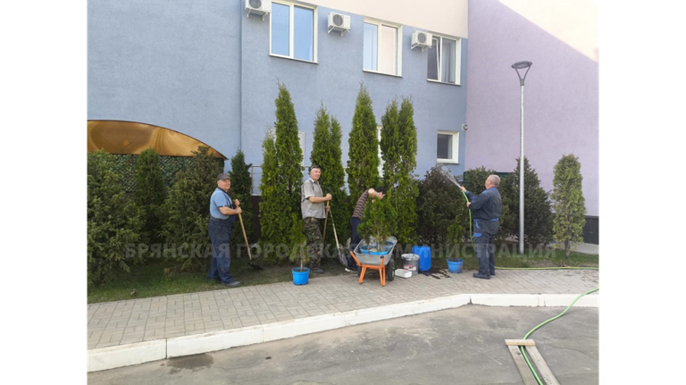«Брянск зеленый»: к акции по высадке деревьев в городе подключились спортсмены