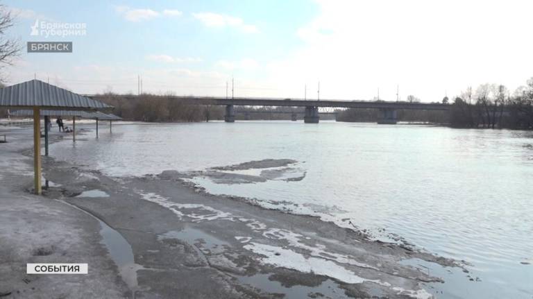  В Брянской области 26 марта ожидаются дождь и мокрый снег