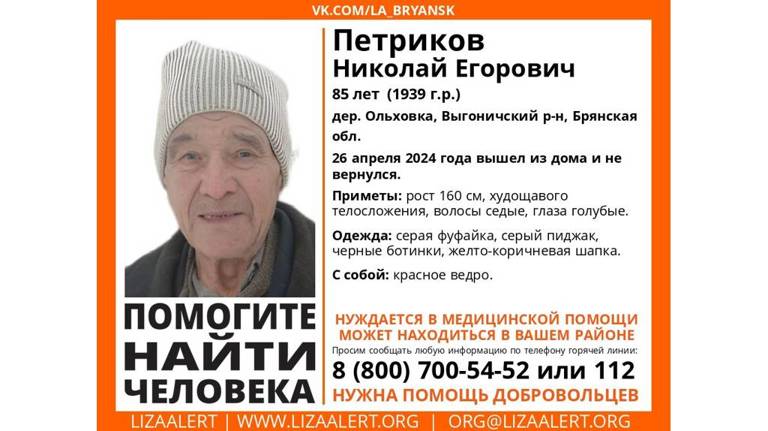 Пропавшего в Брянской области 85-летнего Николая Петрикова нашли живым