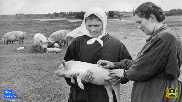 Брянцам показали снимок свинарки колхоза Сталина Стародубского района 1953 года