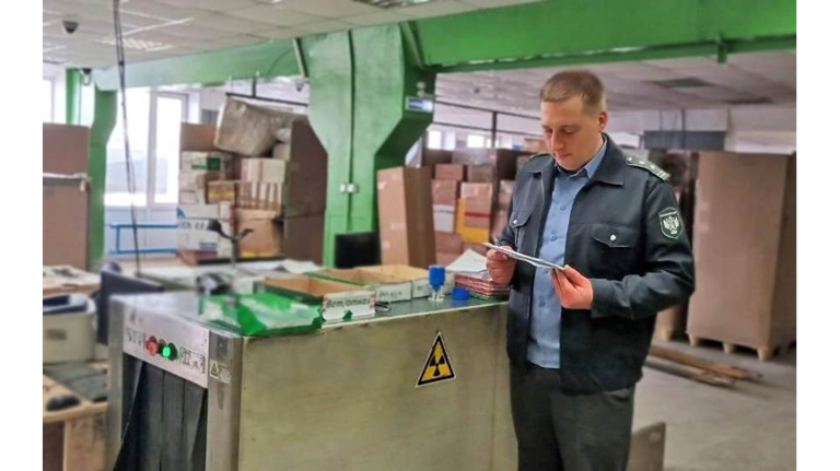 В Брянской области 518 международных посылок не прошли ветеринарный контроль