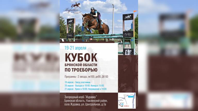 В Брянской области пройдут соревнования по конному спорту