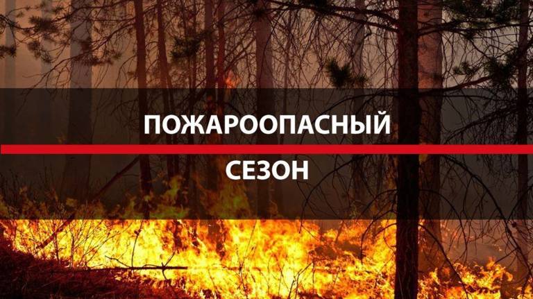 В лесах Брянской области с 5 апреля начнет действовать пожароопасный сезон