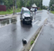 За полгода в Брянске в результате ДТП погибло 5 человек и ранено 49 граждан