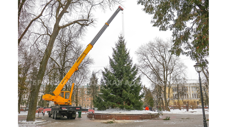 В Брянске открытие главной городской елки состоится 19 декабря