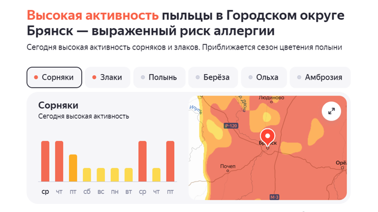 Брянских аллергиков атакует новая волна цветения