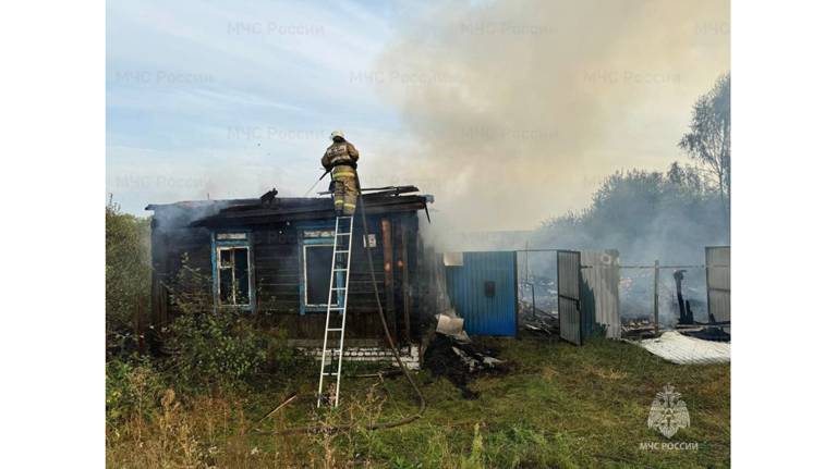 В Брянской области за неделю произошел 201 пожар