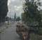 «Кинули кусок бревна»: в Брянске жители Плодородной заблокировали дорогу