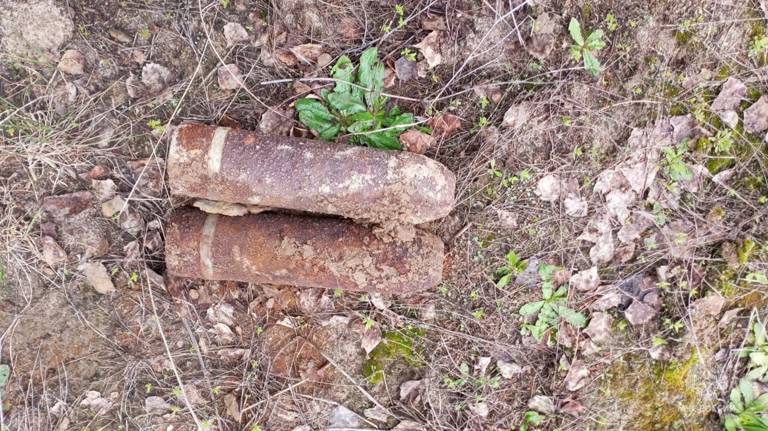 В Брянской области обезвредили два артиллерийских снаряда