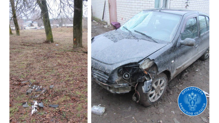 Пьяному водителю, который насмерть сбил пенсионера в Дятьково, грозит 12 лет тюрьмы