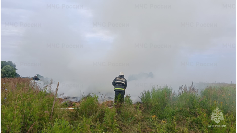 На полях брянского предприятия по выращиванию опийного мака потушили условный пожар
