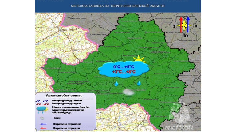 Брянцам 31 января обещают 8-градусное тепло