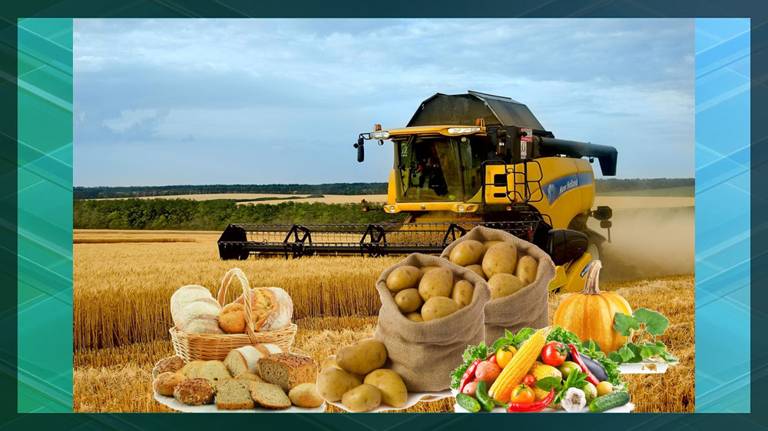 Производство сельхозпродукции на Брянщине выросло в минувшем году на 12,3 процента