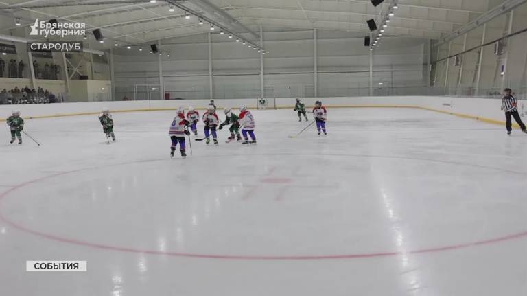 В Стародубе прошли сразу два хоккейных турнира (ВИДЕО)