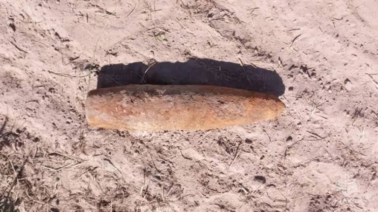 В лесу Карачевского района нашли артиллерийский снаряд