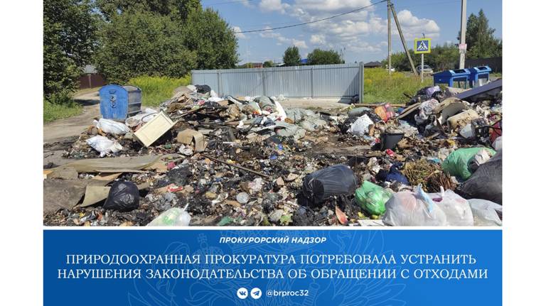 В Брянском районе дачников обязали оборудовать контейнерные площадки