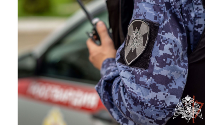 В Брянске двое пьяных мужчин устроили стрельбу в частном секторе