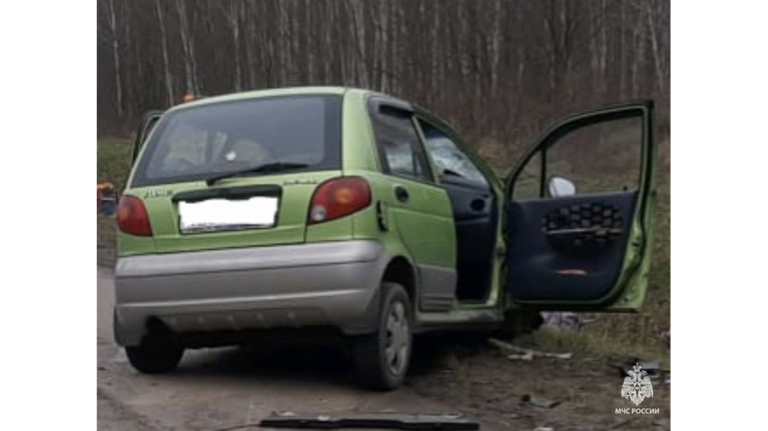 Пожарные вырезали из машины пострадавшего в ДТП на брянской трассе под Унечей