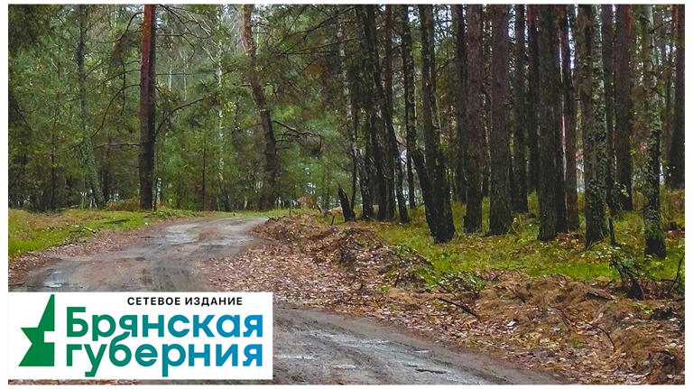 Зря ругаешь дождь: на Брянщине сутки не было природных пожаров