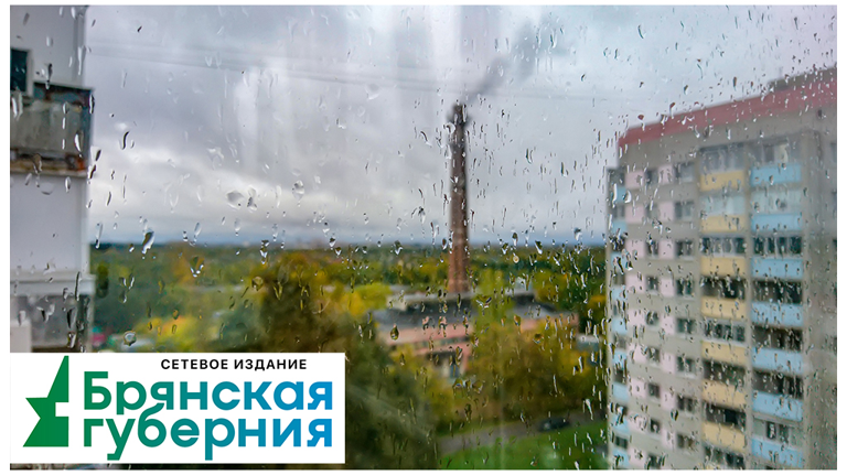 На Первомай брянцам обещают дожди и до +15