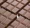 В Брянске вор-сладкоежка украл из магазина шоколада на 5 600 рублей