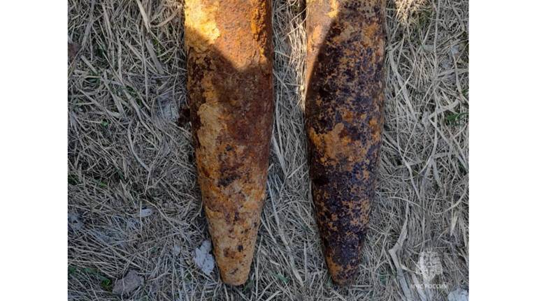 В лесу возле навлинского села Пролысово нашли два артиллерийских снаряда