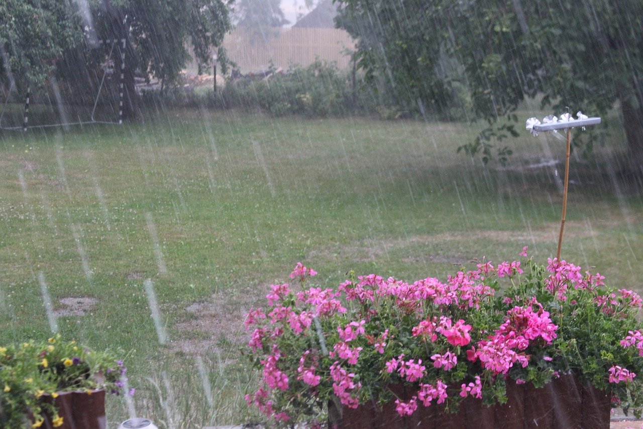 В четверг дождь с грозой и градом обрушится на Брянскую область
