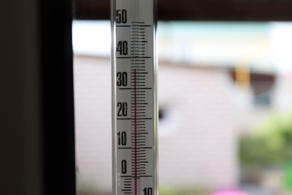 Жара до +31 градуса ожидается в Брянской области в начале недели