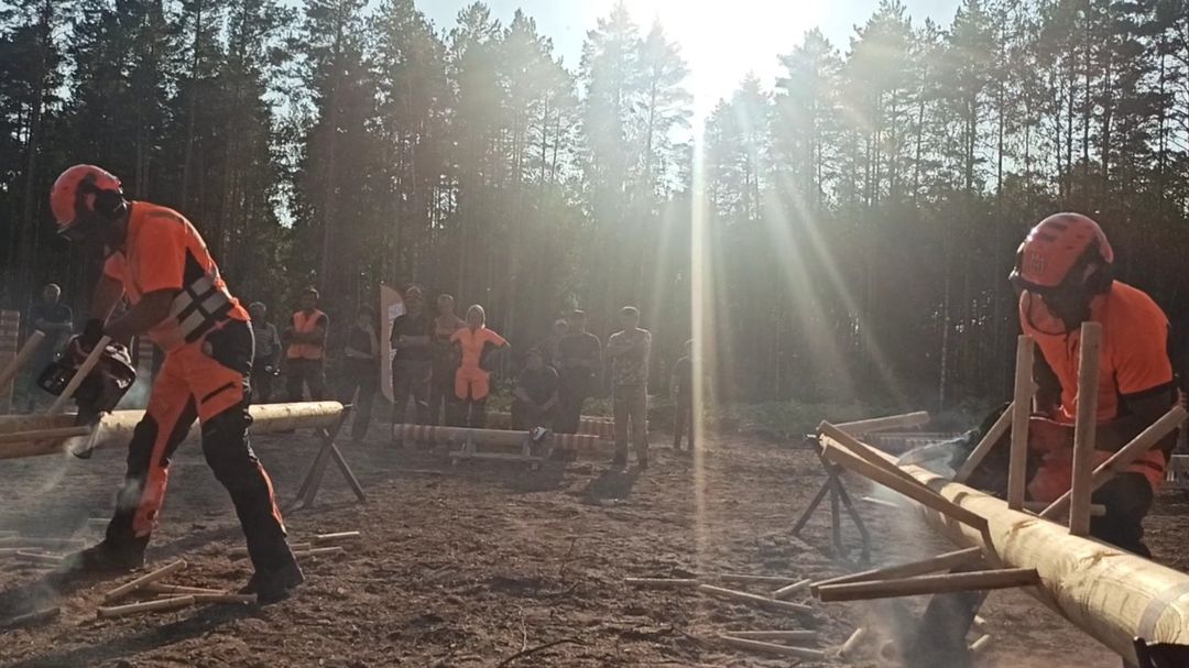 Брянские лесорубы блеснули мастерством на всероссийском конкурсе в Марий Эл