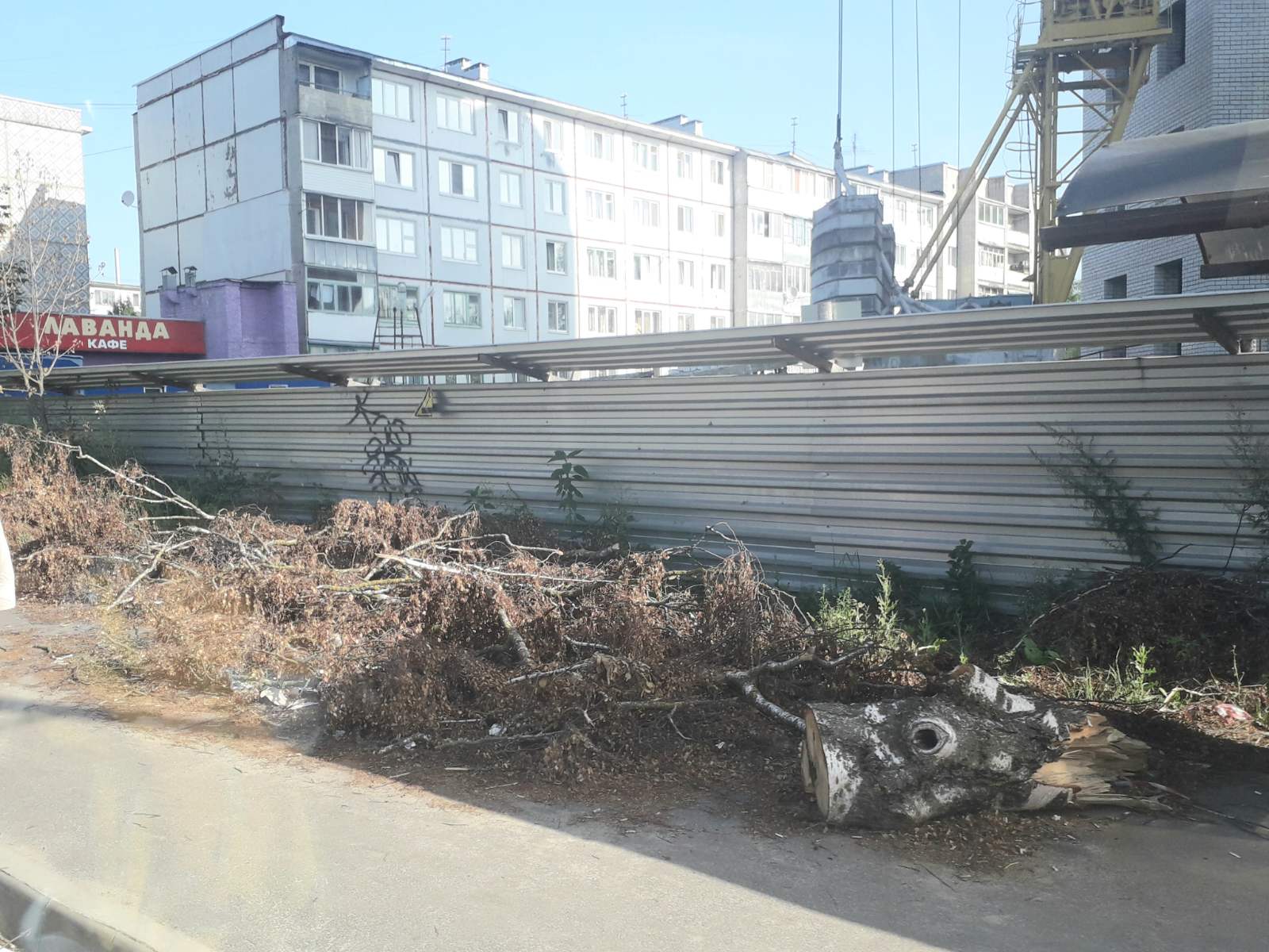 Жители улицы Ново-Советской в Брянске пожаловались на древесный мусор