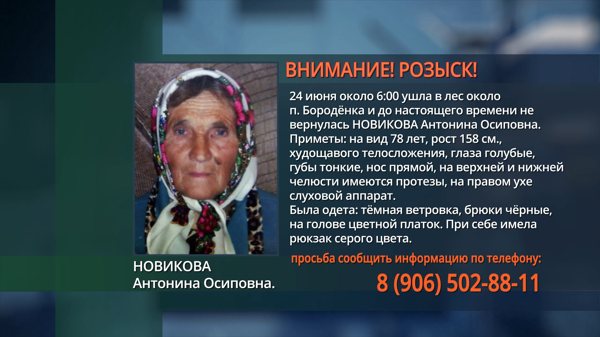 В Брянской области в лесу пропала пожилая женщина