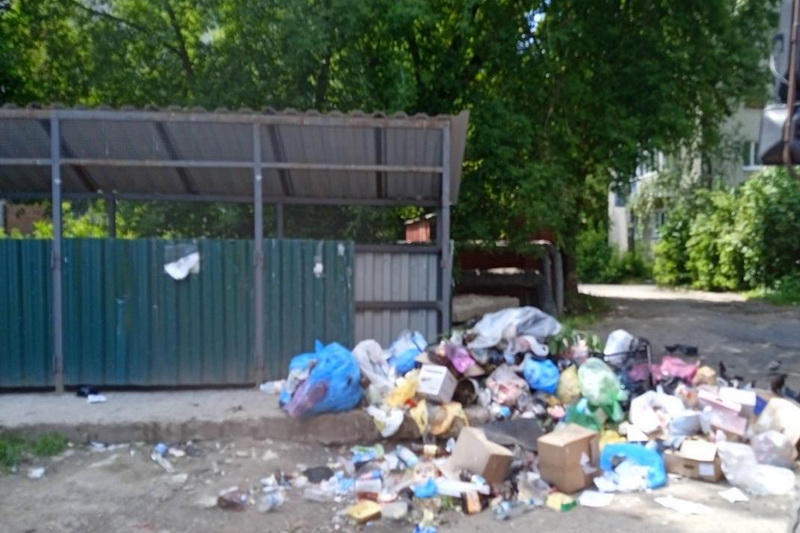 В Брянске на улице Спартаковской местные жители несут мусор мимо контейнеров