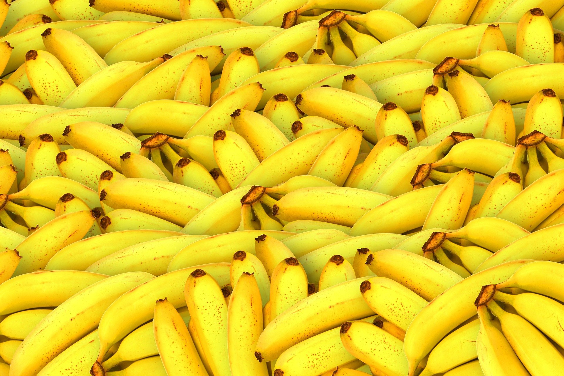 В Брянской области бананы за счет скидок стали дешевле моркови