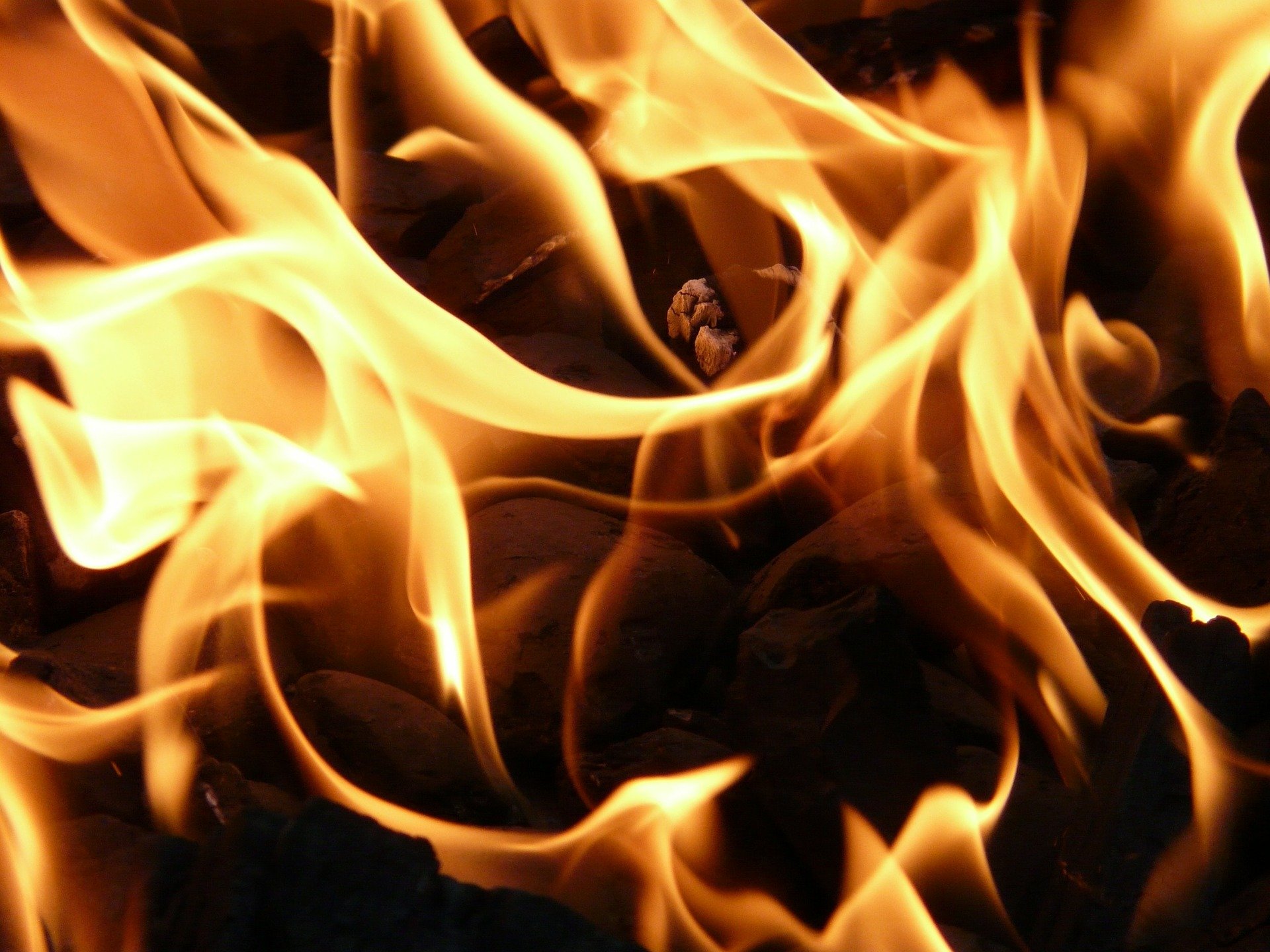 В Брянской области за сутки произошло 11 пожаров