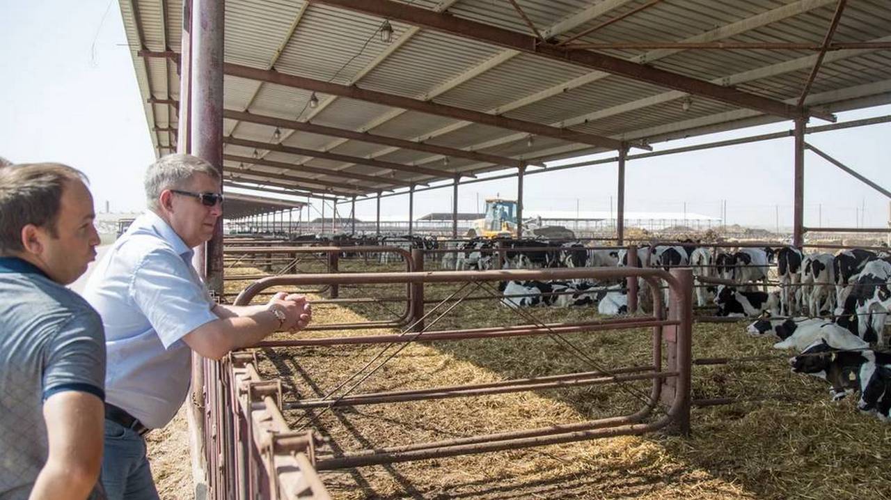 В Крыму брянский губернатор Александр Богомаз осмотрел крупнейшую молочную ферму