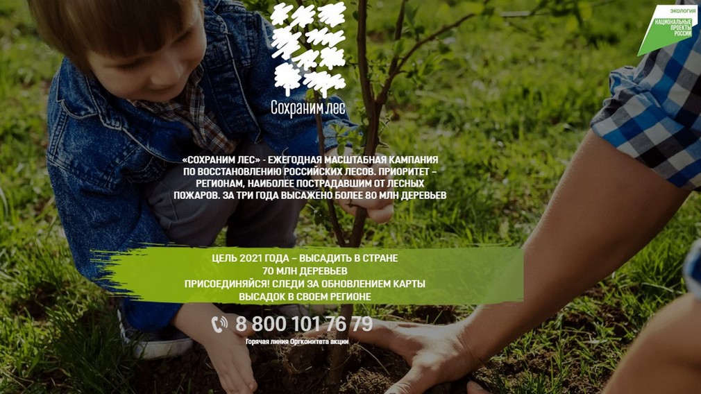 Брянцев пригласили принять участие в акции «Сохраним лес»