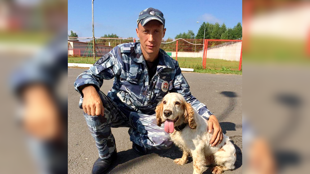 Служебная собака помогла брянским полицейским найти крупный схрон с боеприпасами
