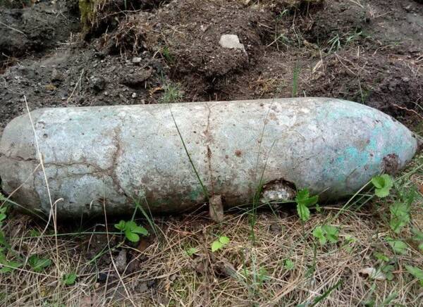Под Брянском в Жуковском районе нашли авиабомбу и мину