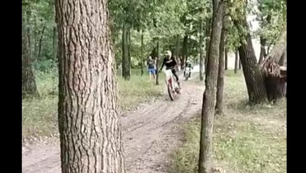 Граждане Брянска ополчились на мотоциклистов, которые ездят по лесу