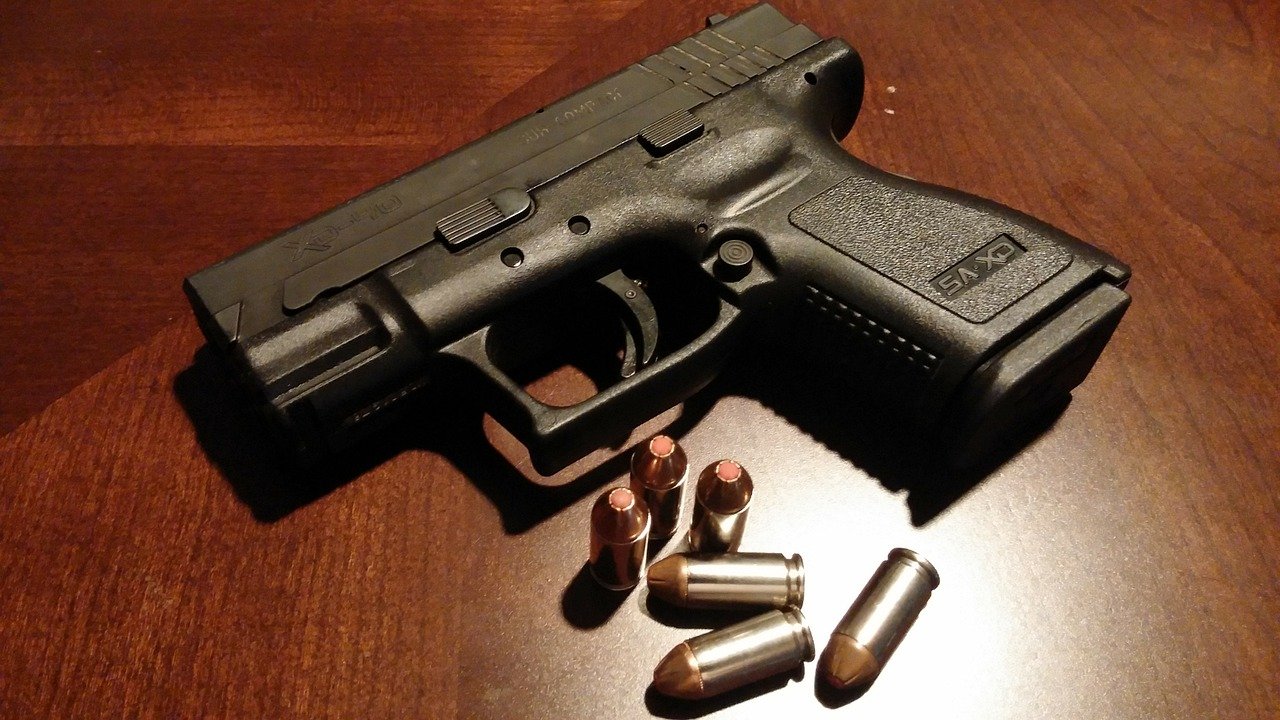 В Брянской области из незаконного хранения изъято 16 единиц огнестрельного оружия